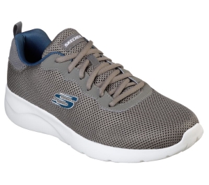 Pánské Sportovní Tenisky Skechers Dynamight 2.0 - Rayhill Šedé | CZ.58362CHAR